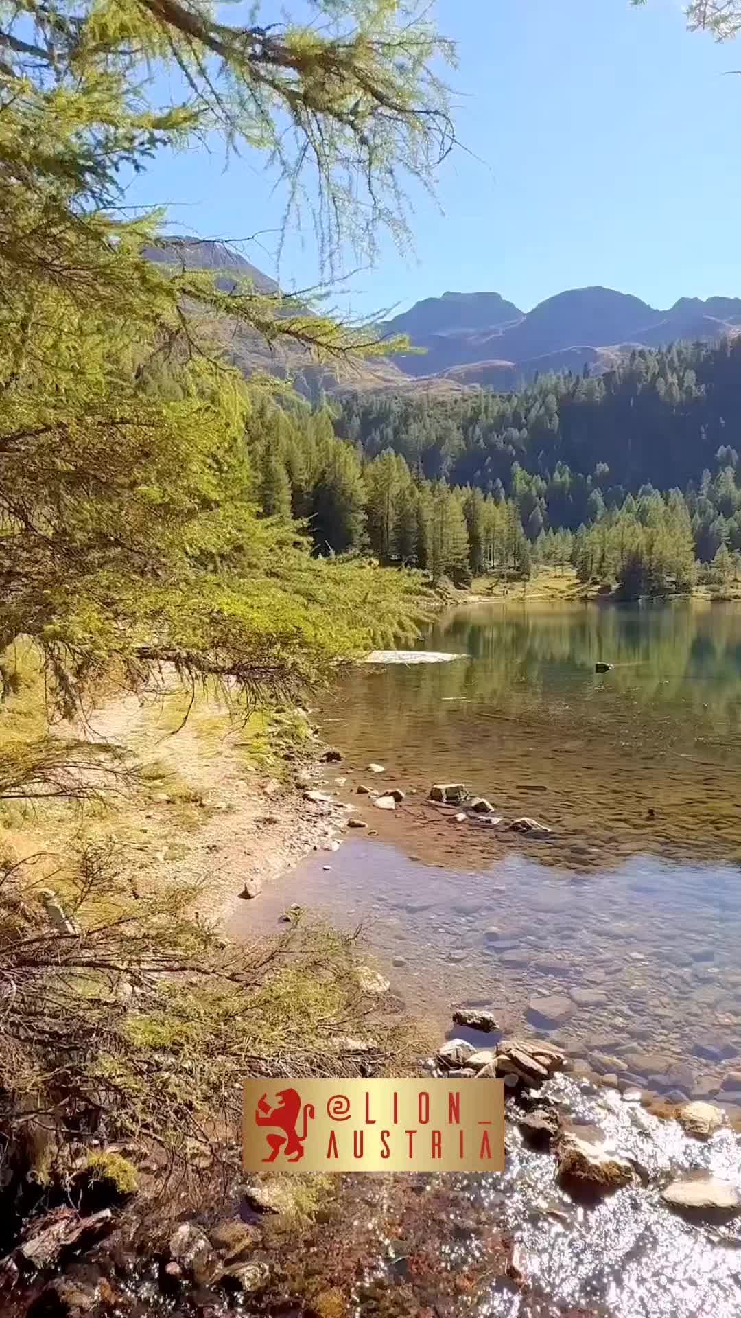 @Lion 🇦🇹