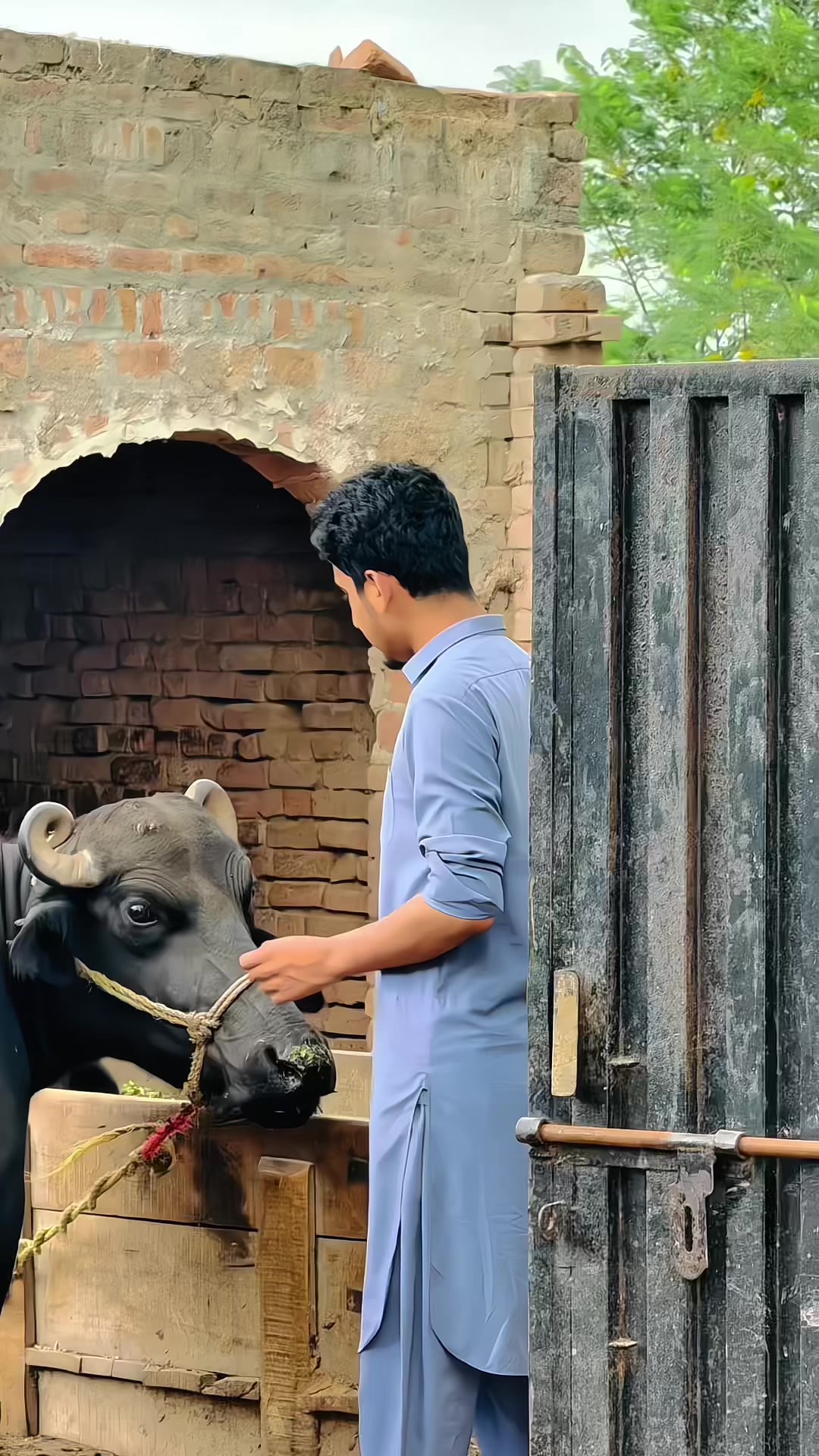 @مانی کھوکھر جیہ آلہ🥂🖤