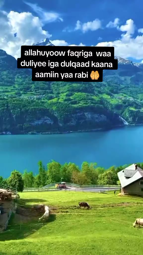 @canab  bintu  xasan 💖🩵🌹💯🐎