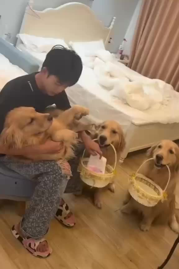 @Funny