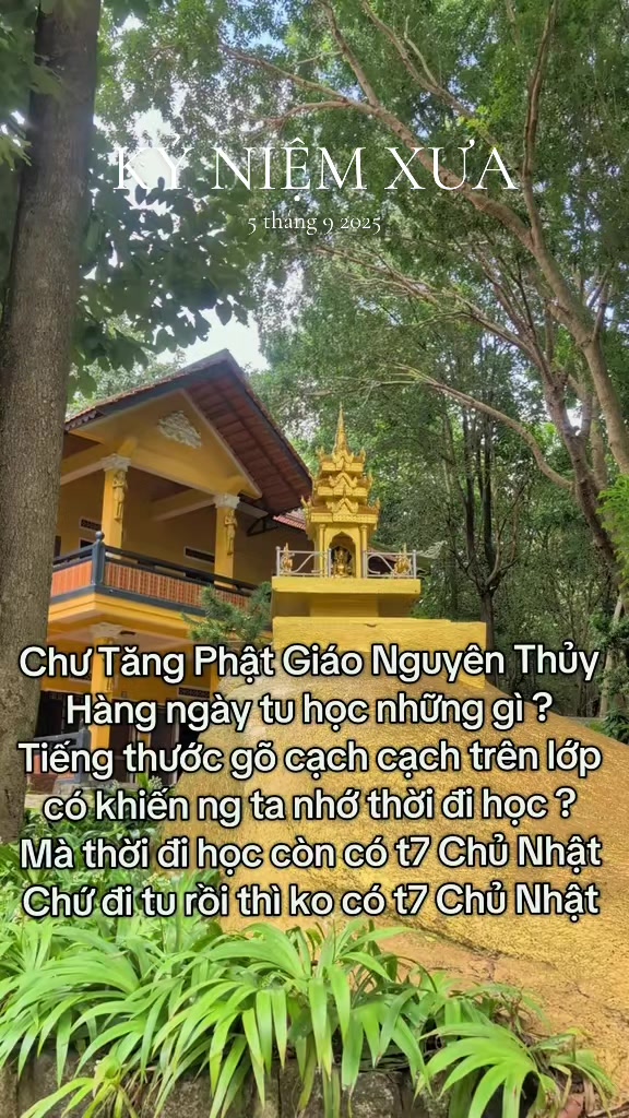 @TK Bảo &Acirc;n