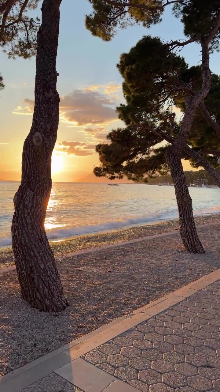 @✨✨𝒜 𝓋𝒾𝓋𝒾𝓃𝒶 ✨✨