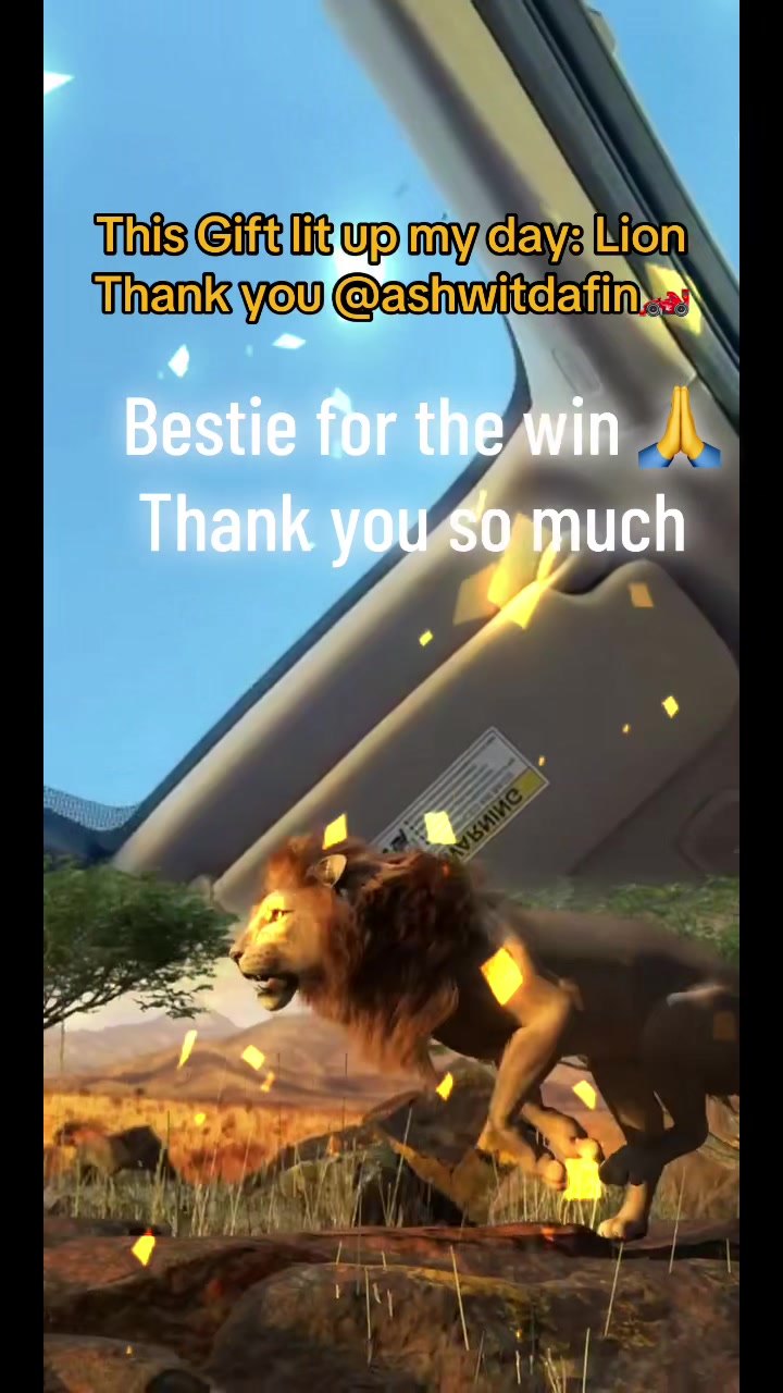@FirmeEstilo 💚🎲🎭🧑🏽&zwj;🦽&zwj;➡️
