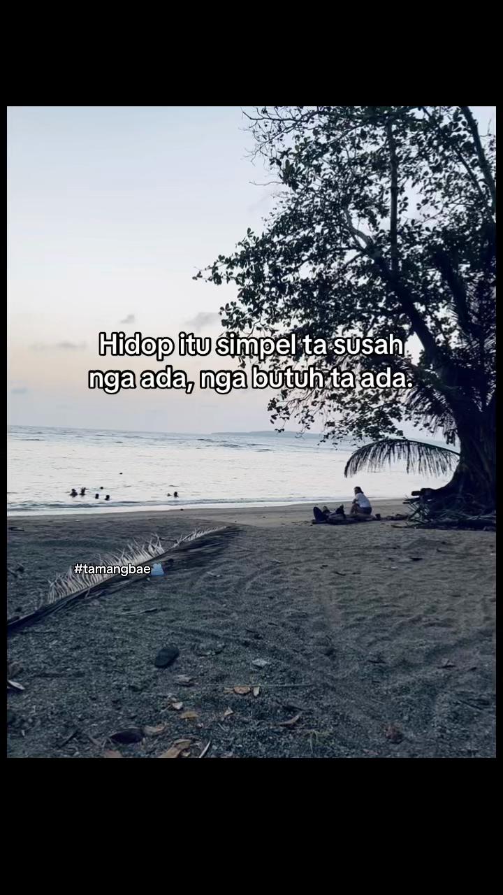 @Indri🚀
