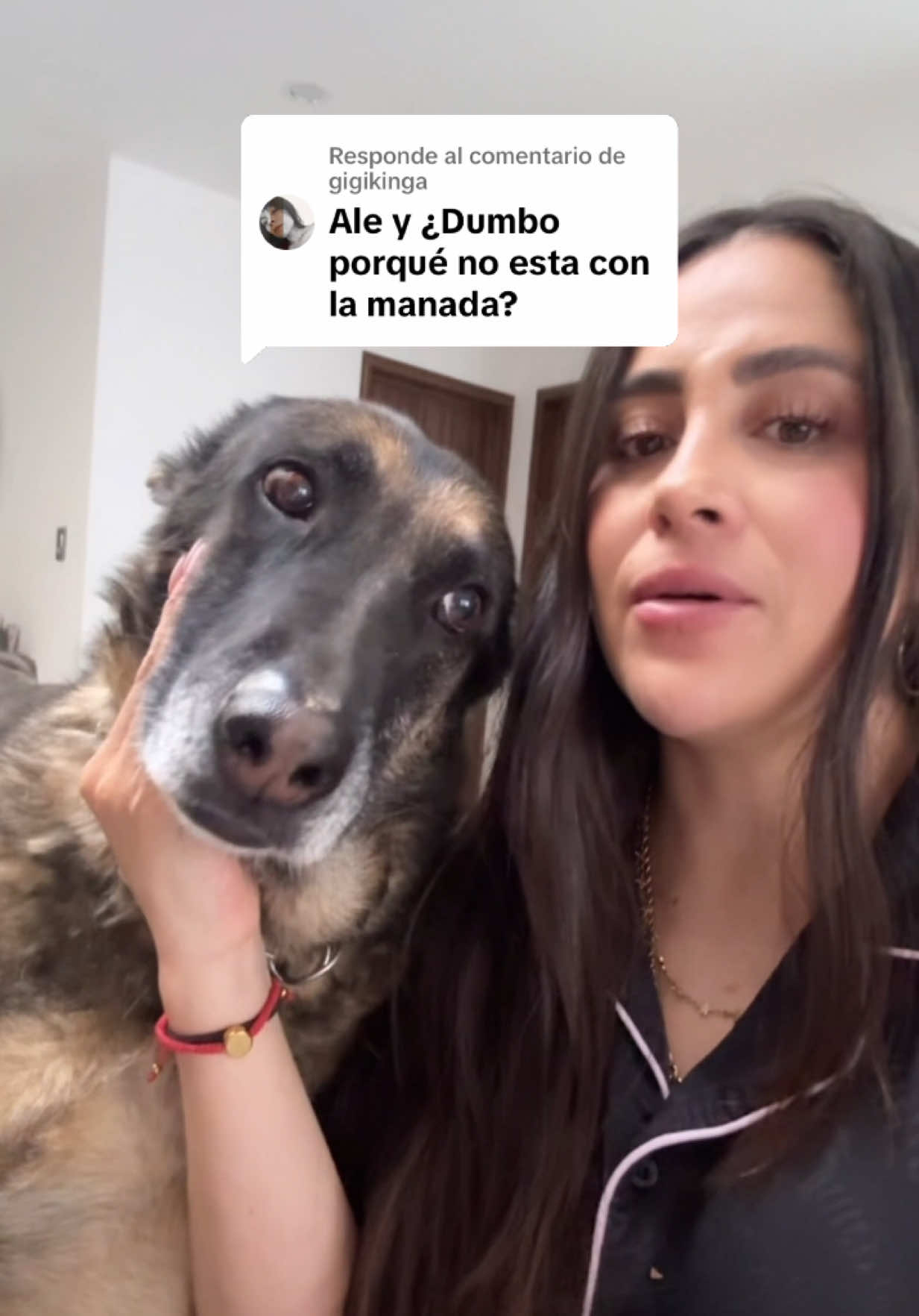 @Aleestefaniafitness
