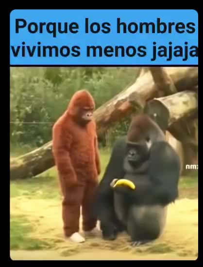 @Chipupi