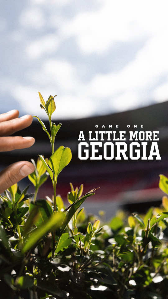 @Georgia Football