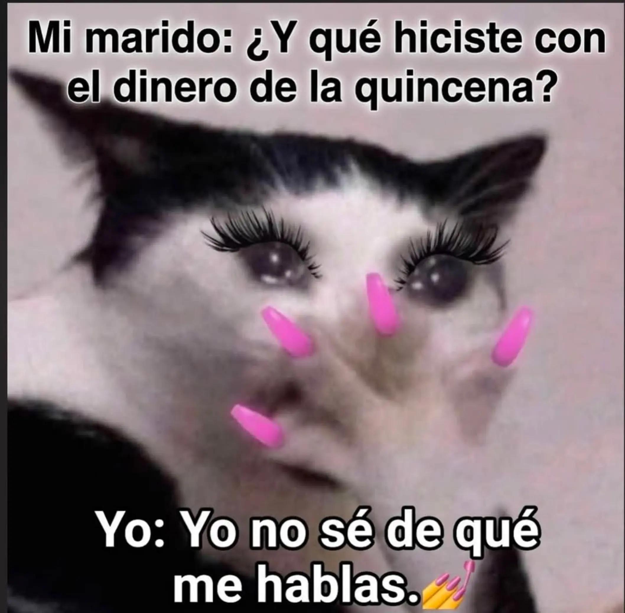 @gigi40