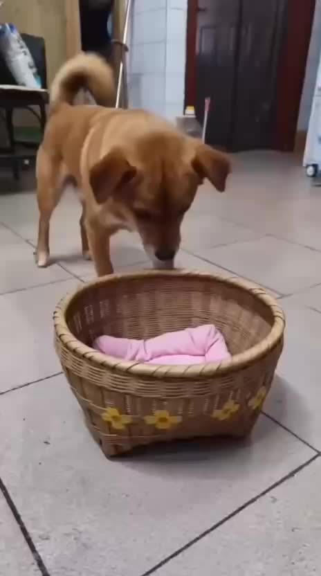 @Funny