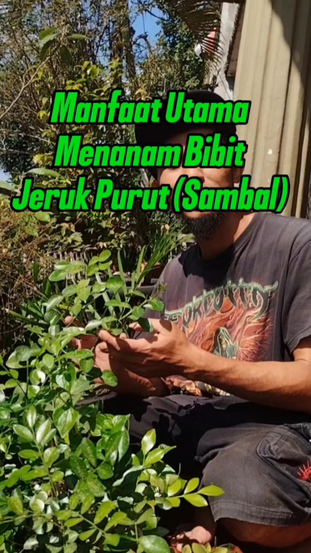 @Bukit Farming