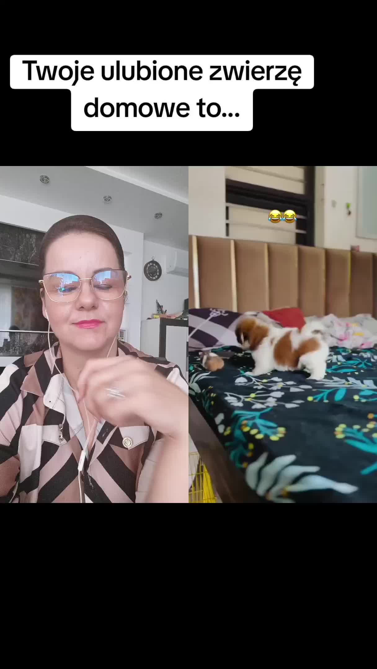 @Katarzyna Romanowska-pisarka
