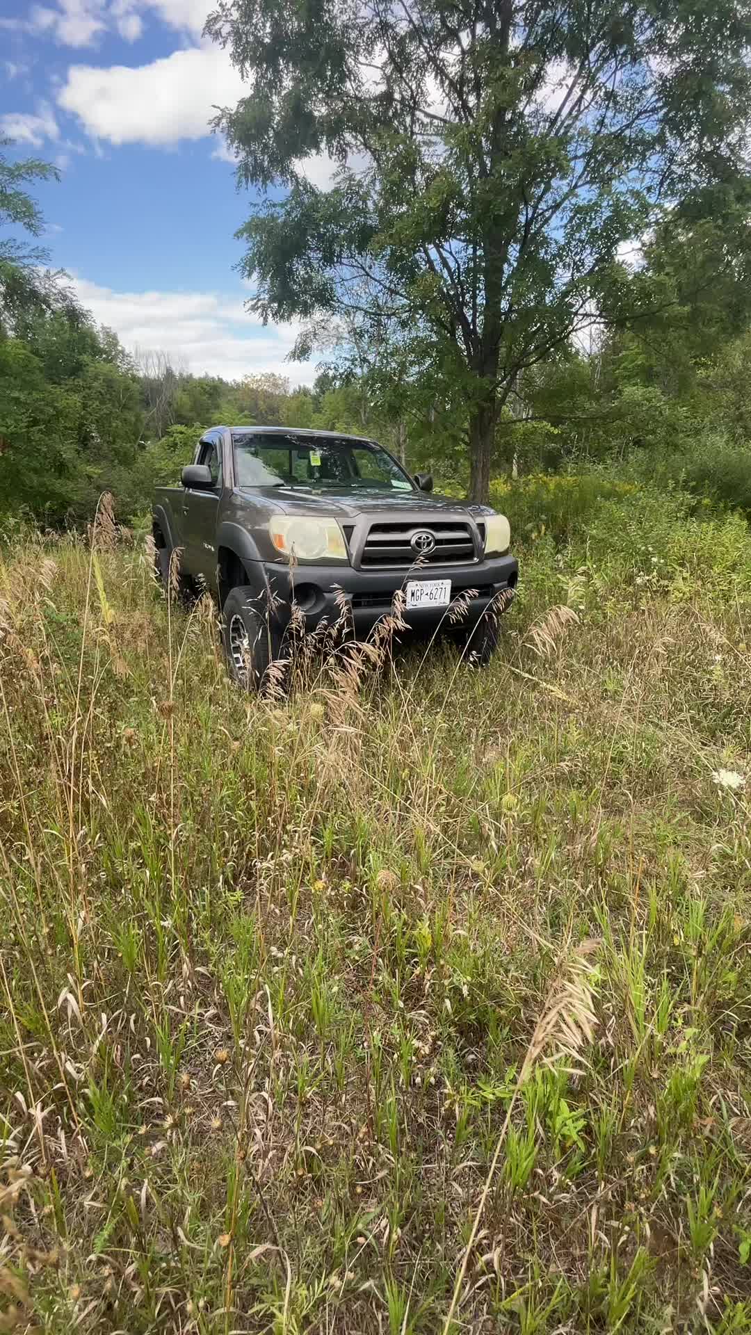 @That_2009-taco
