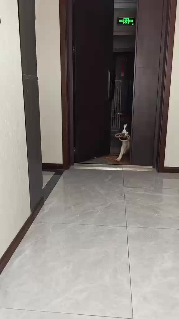 @Funny