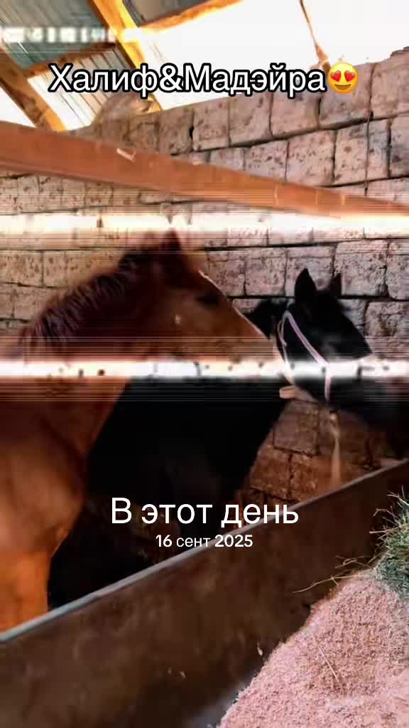 @&ldquo;𝐍𝐎 𝐍𝐀𝐌𝐄&rdquo;