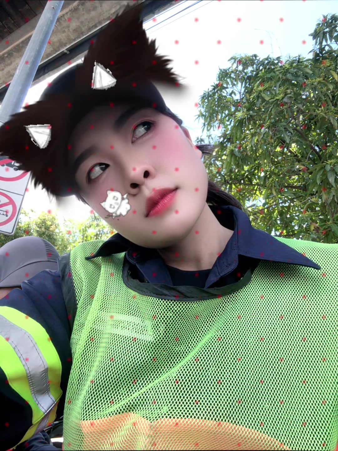 @🐷 ^ e&rsquo;Moo FERN🌿