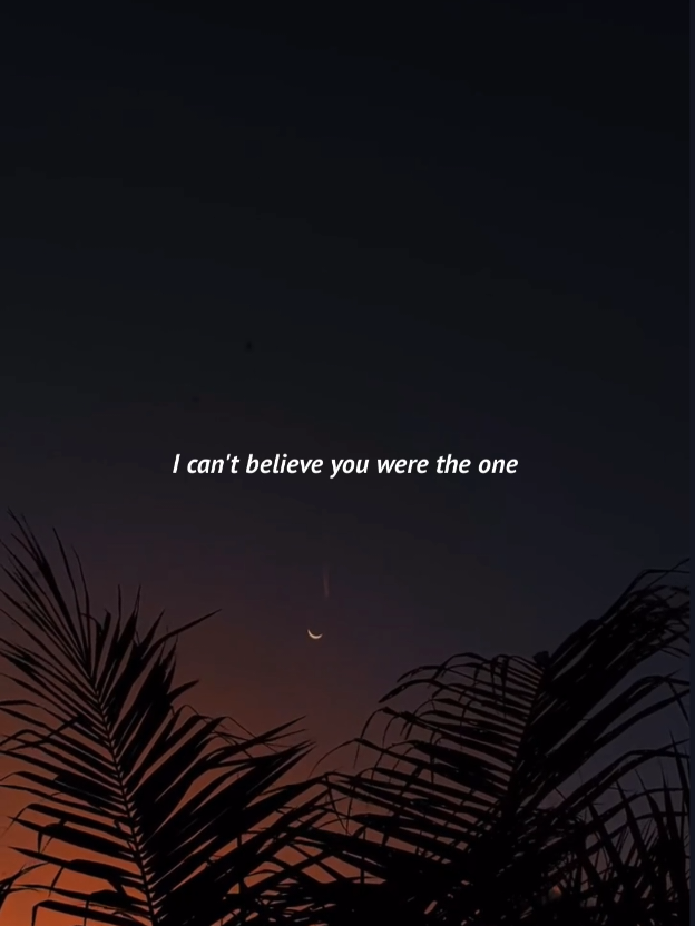 @Owl