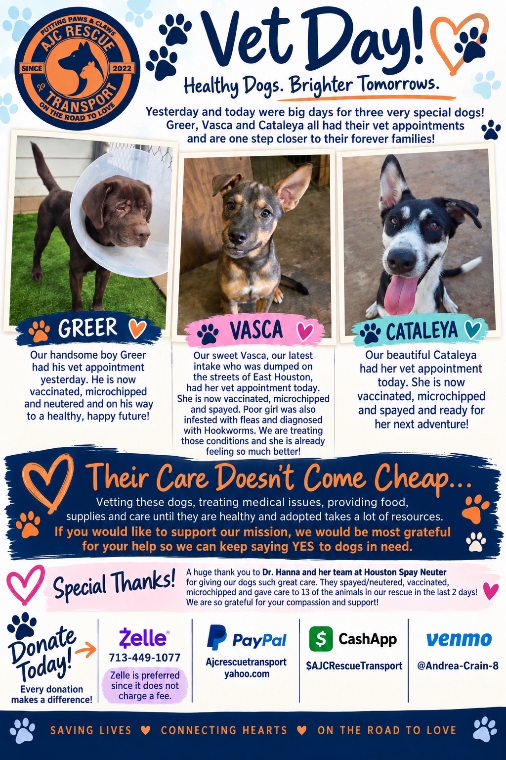 @AJC Rescue and Transport