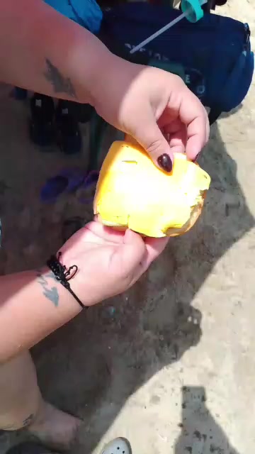 @raizavasquez