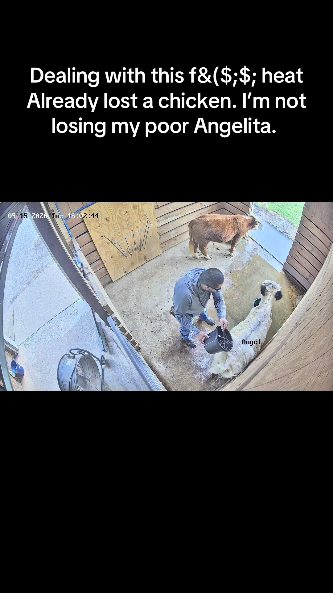 @Chepo- Ranch Hand