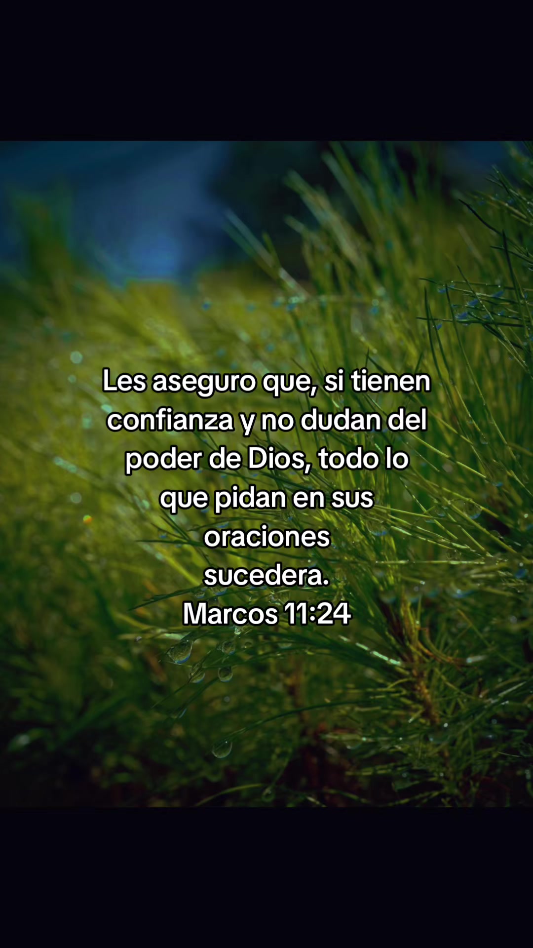 @Elfego Lopez