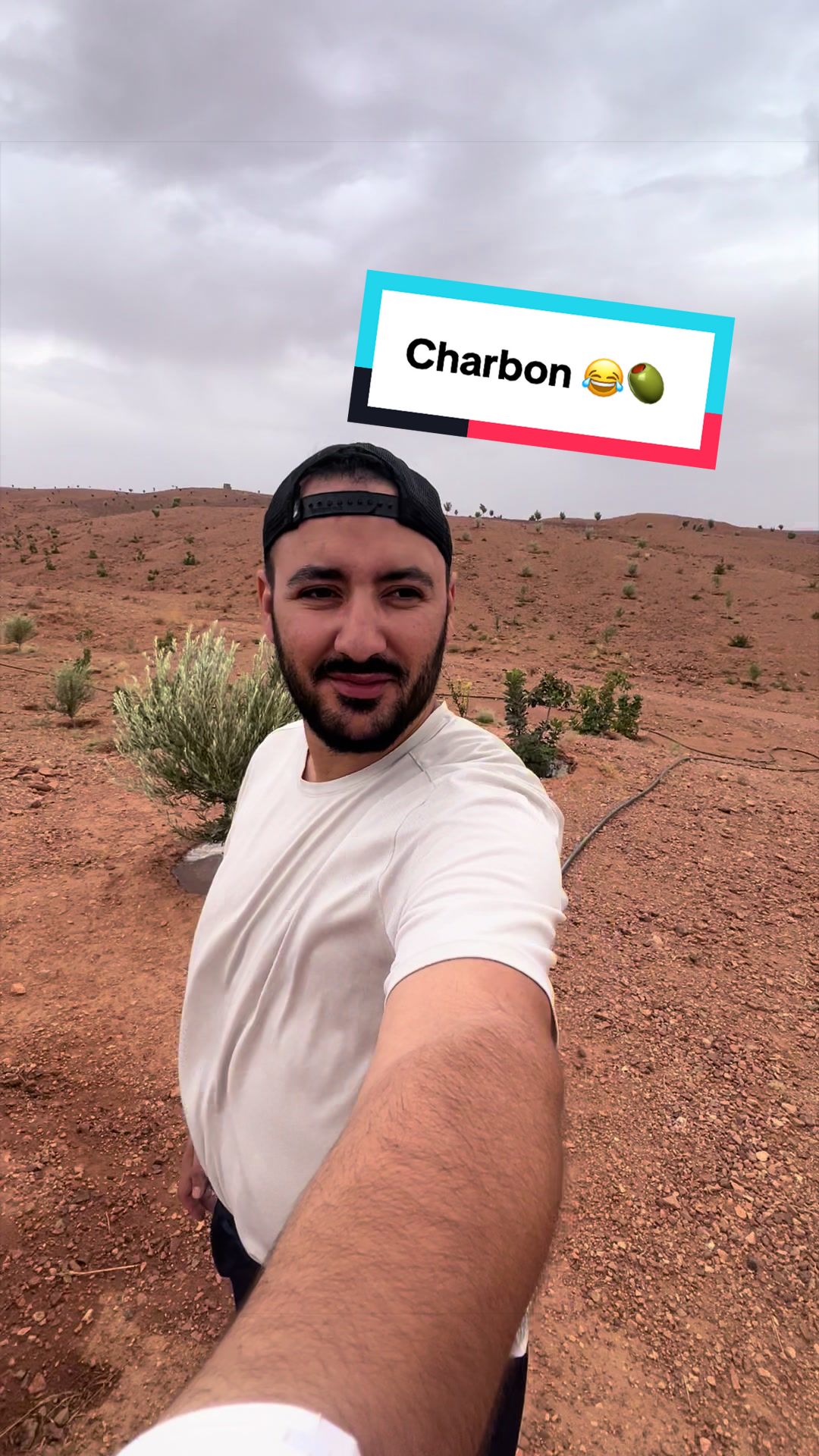 @LE CAMÉLÉON