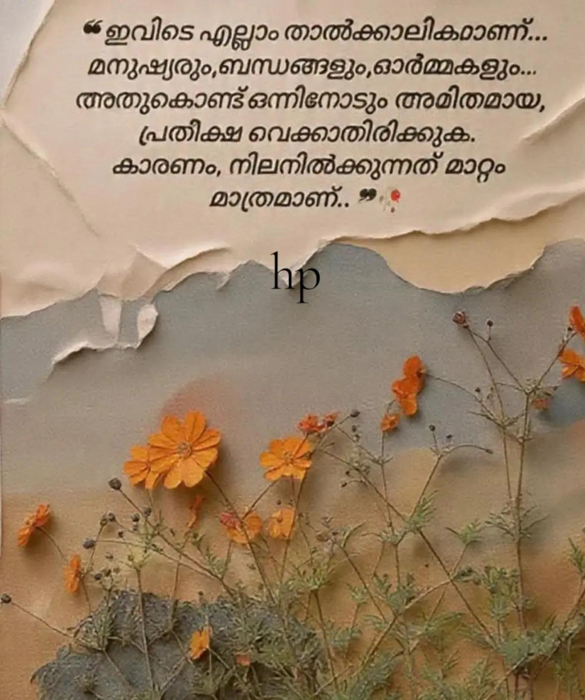 @hp