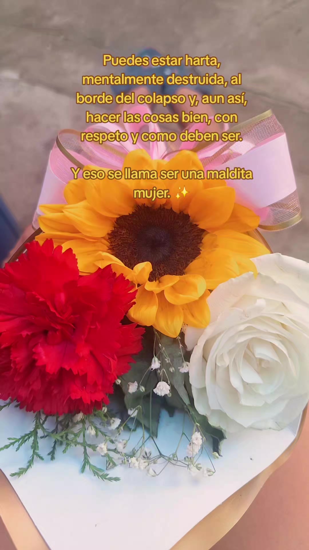 @Lorens prado