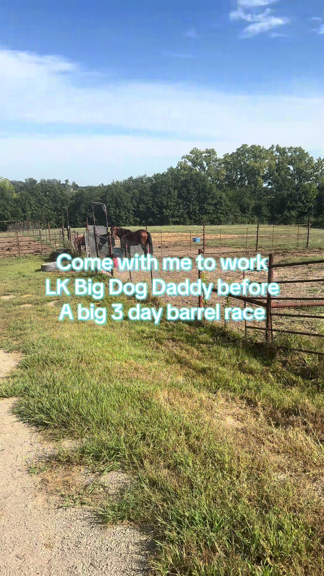 @Living Lucky Quarter Horses