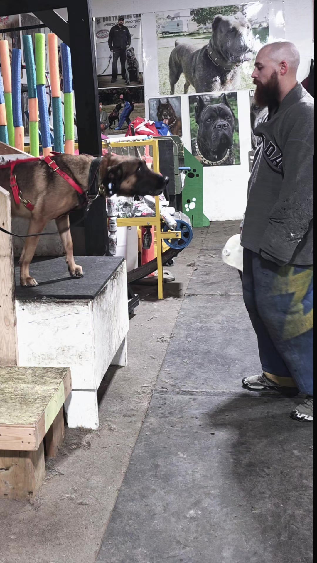 @RaisingHell.Hounds🇨🇦