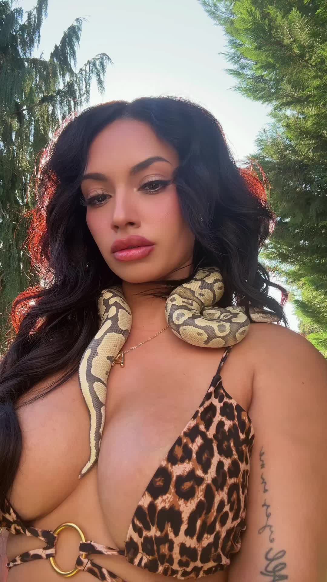 @ari