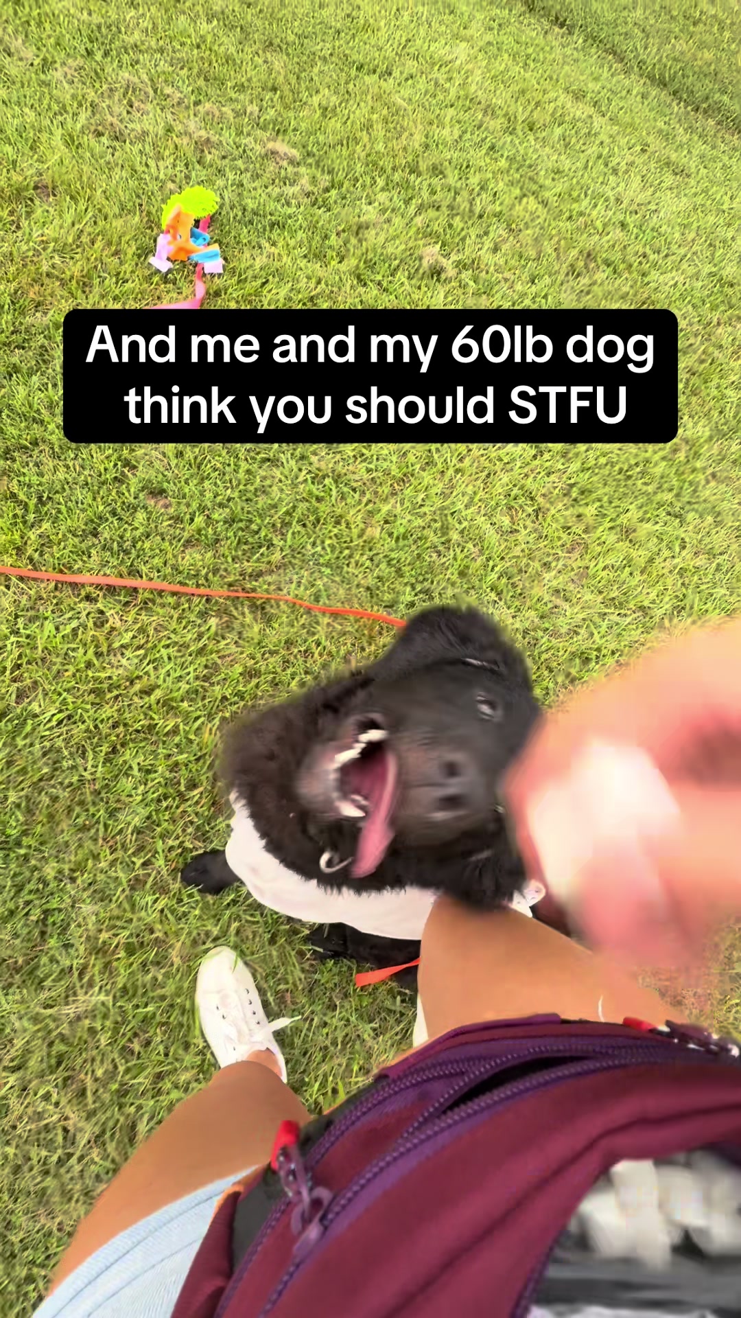 @Kate&rsquo;s Pack