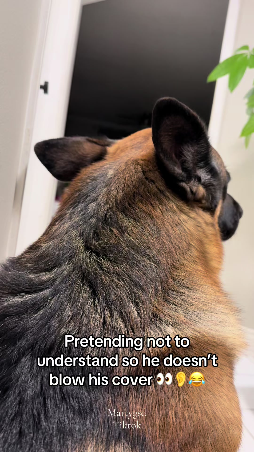 @Martygsd