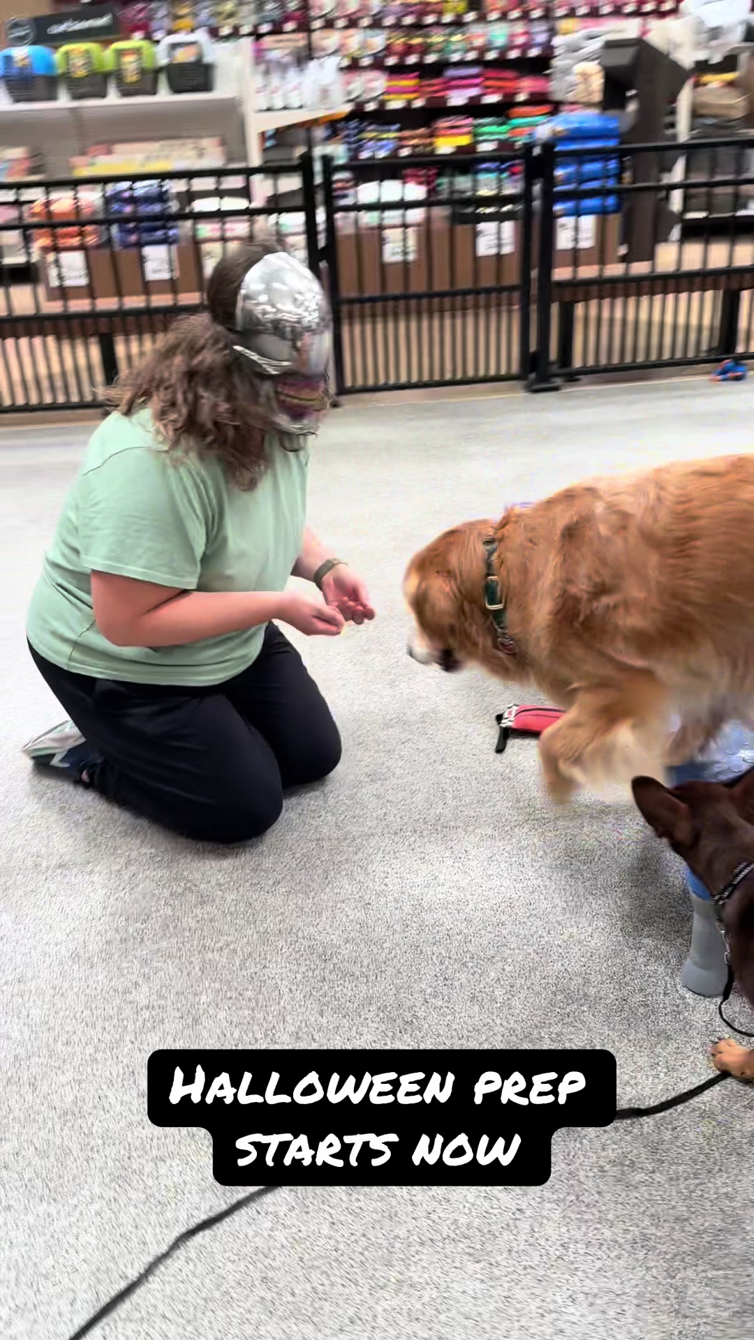 @FlexiblePetSolutions