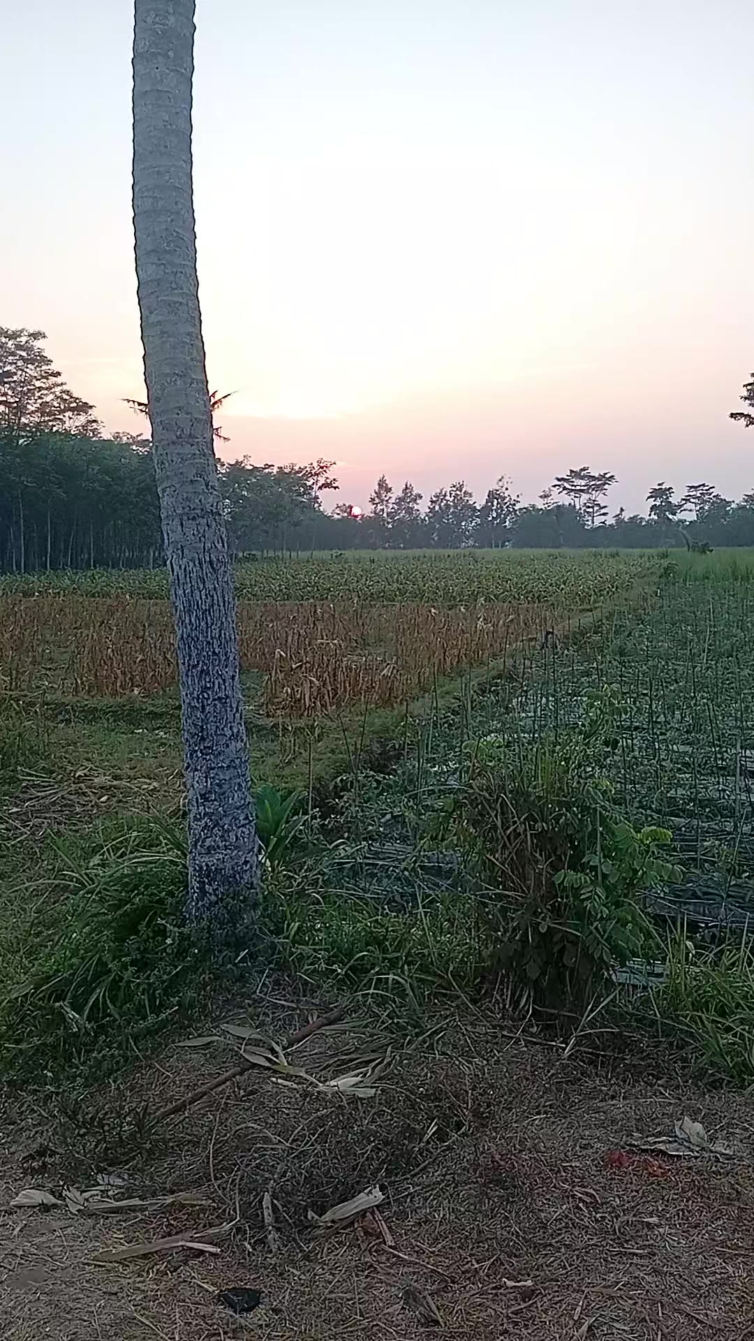 @Teguhkanhatimu