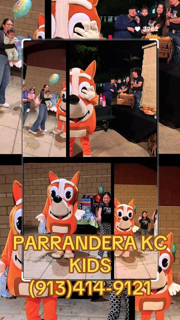 @Aracely Gutierrez