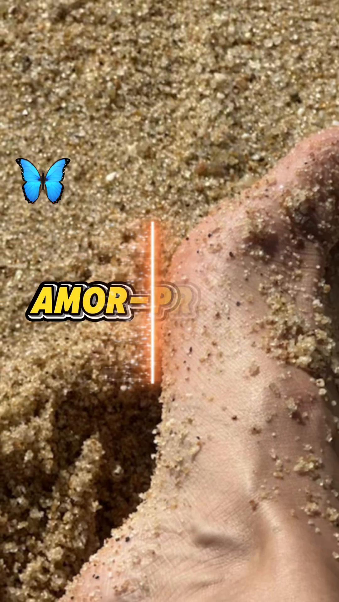 @borboleta2867