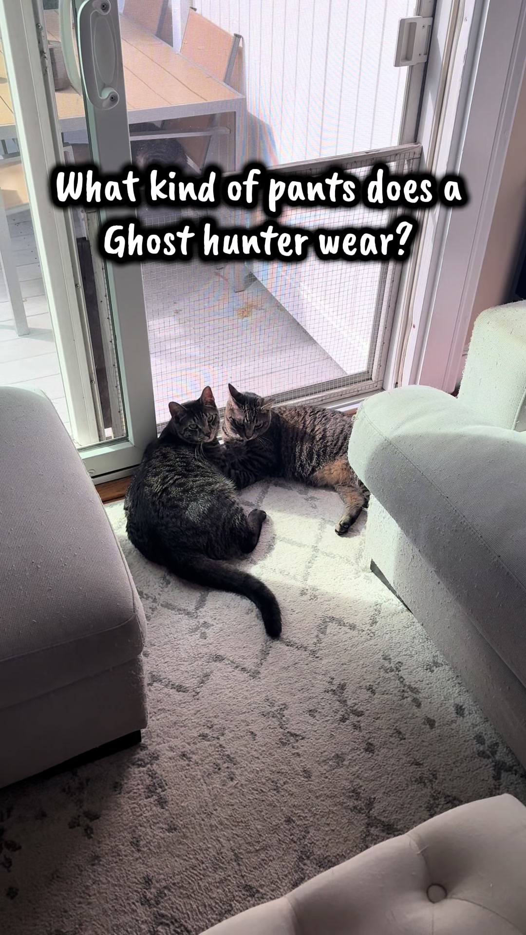 @TailsandWhiskersCo