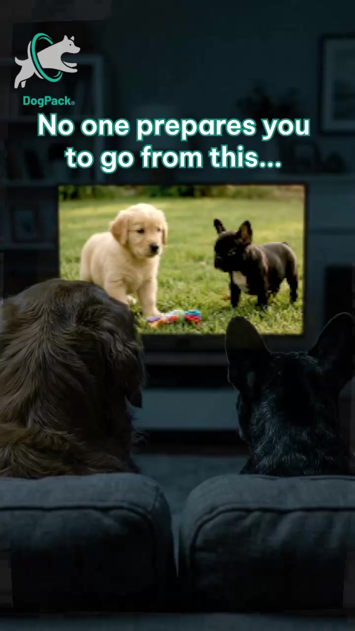 @DogPack
