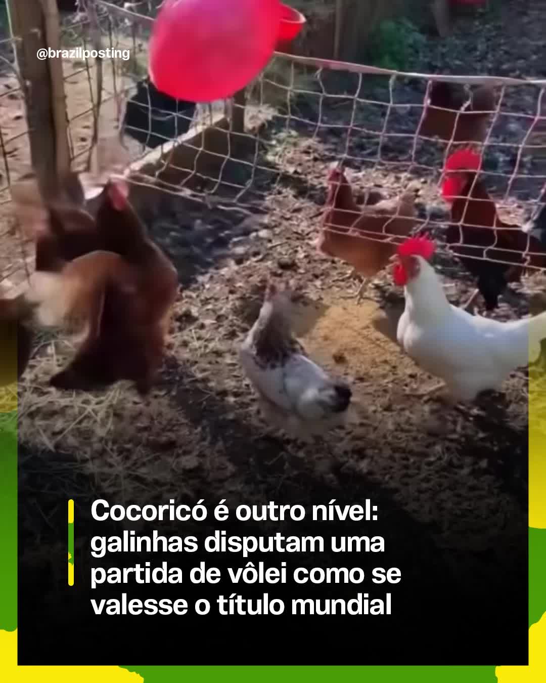 @Brazil Posting