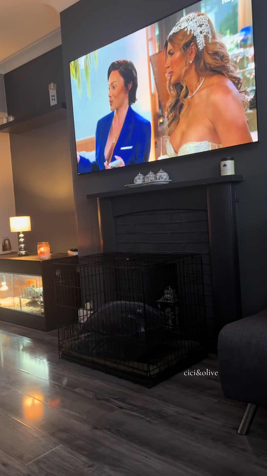 @ciciolive_mini_weiners