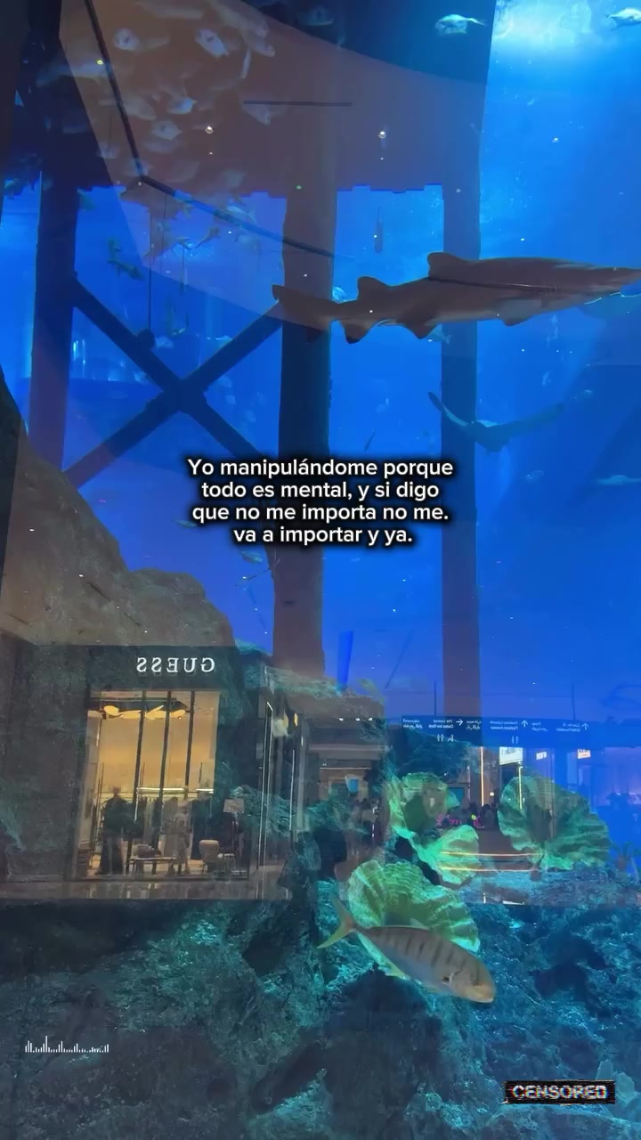 @Lariossv