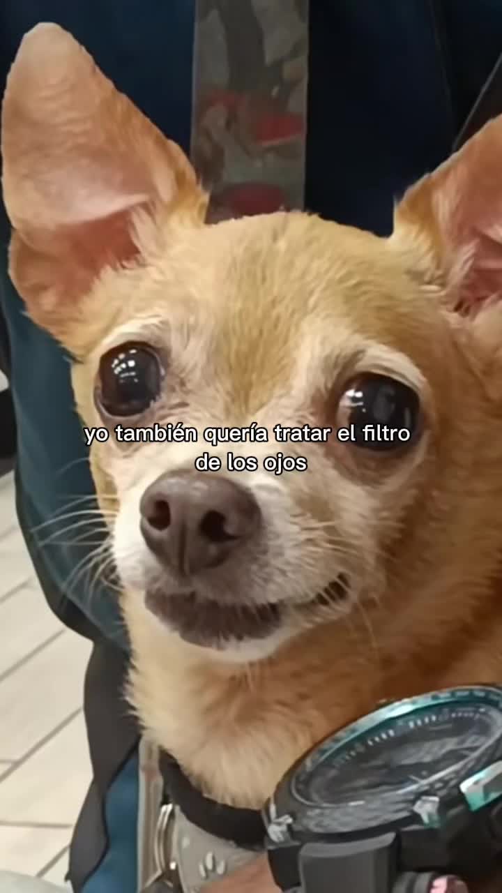 @Jessica Orria Vazque
