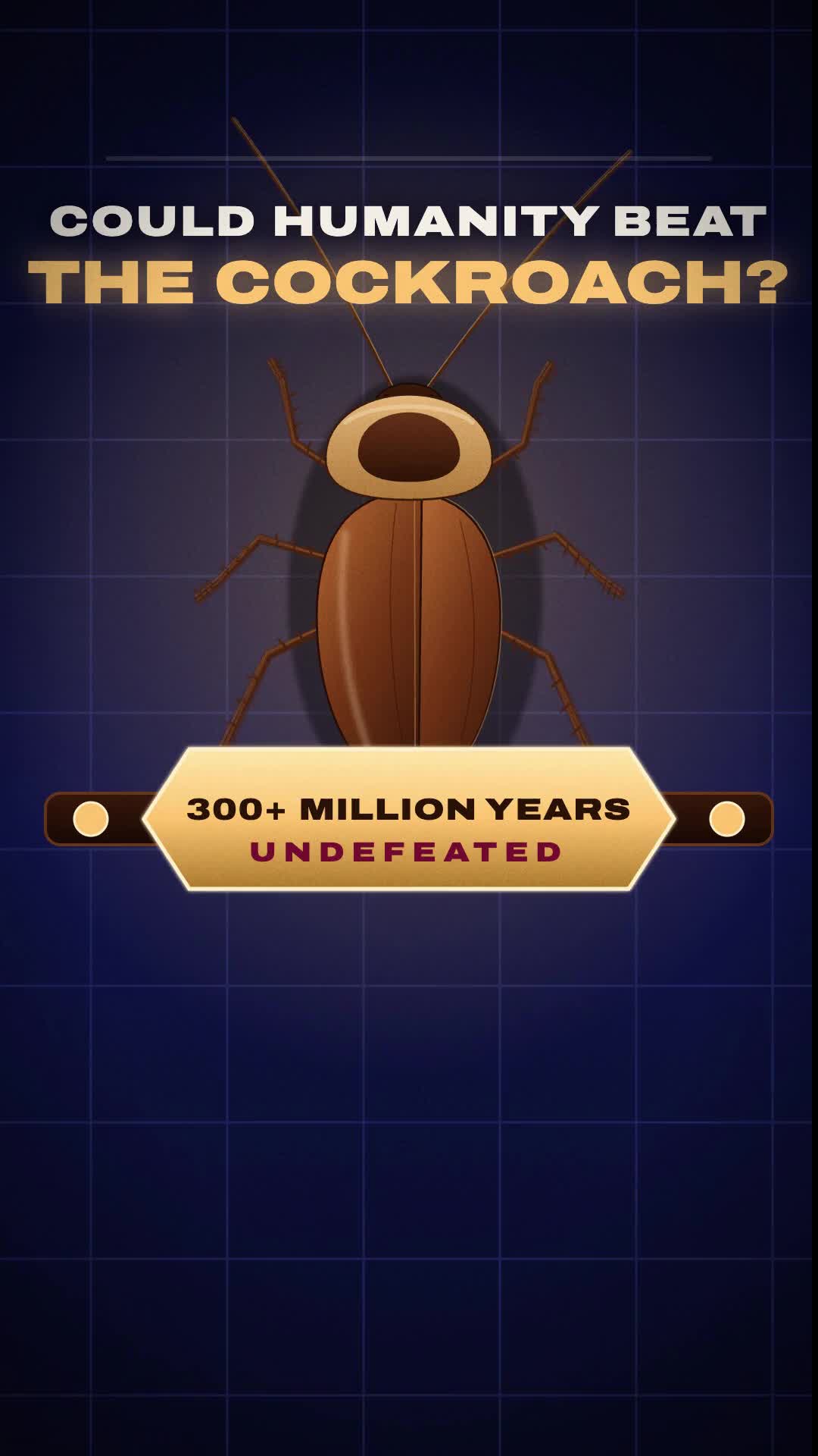 @Simon Meyer
