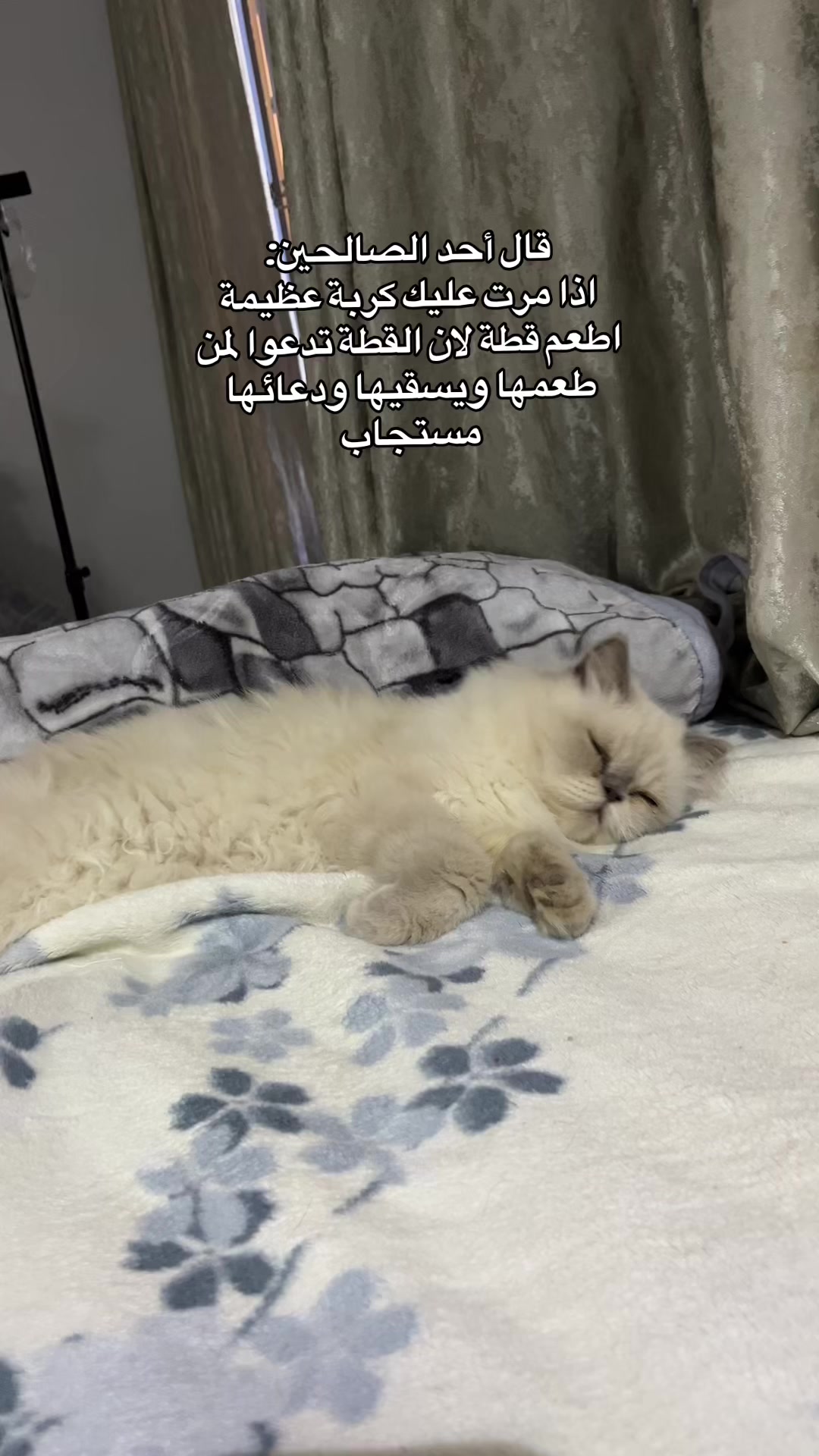 @د/ عشري