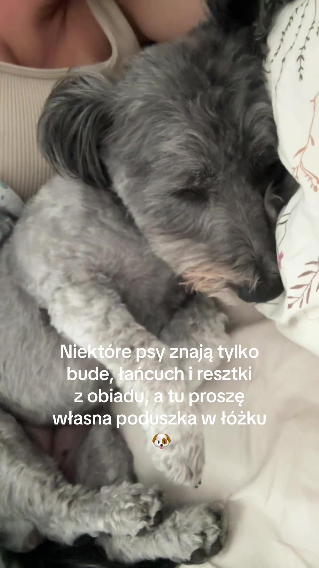 @Beatus