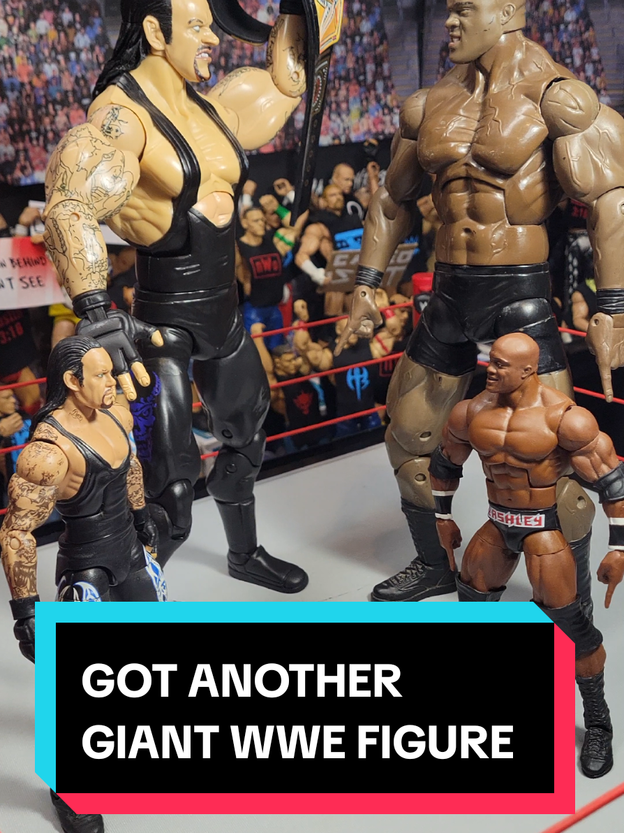 @Lucha Bro