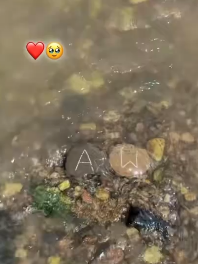 @❤️Ariba ❤️&zwj;🩹me love W ❤️