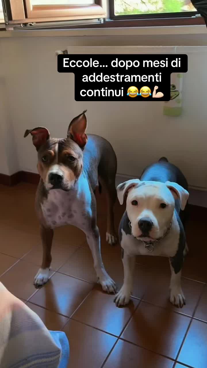 @giulia&ariel