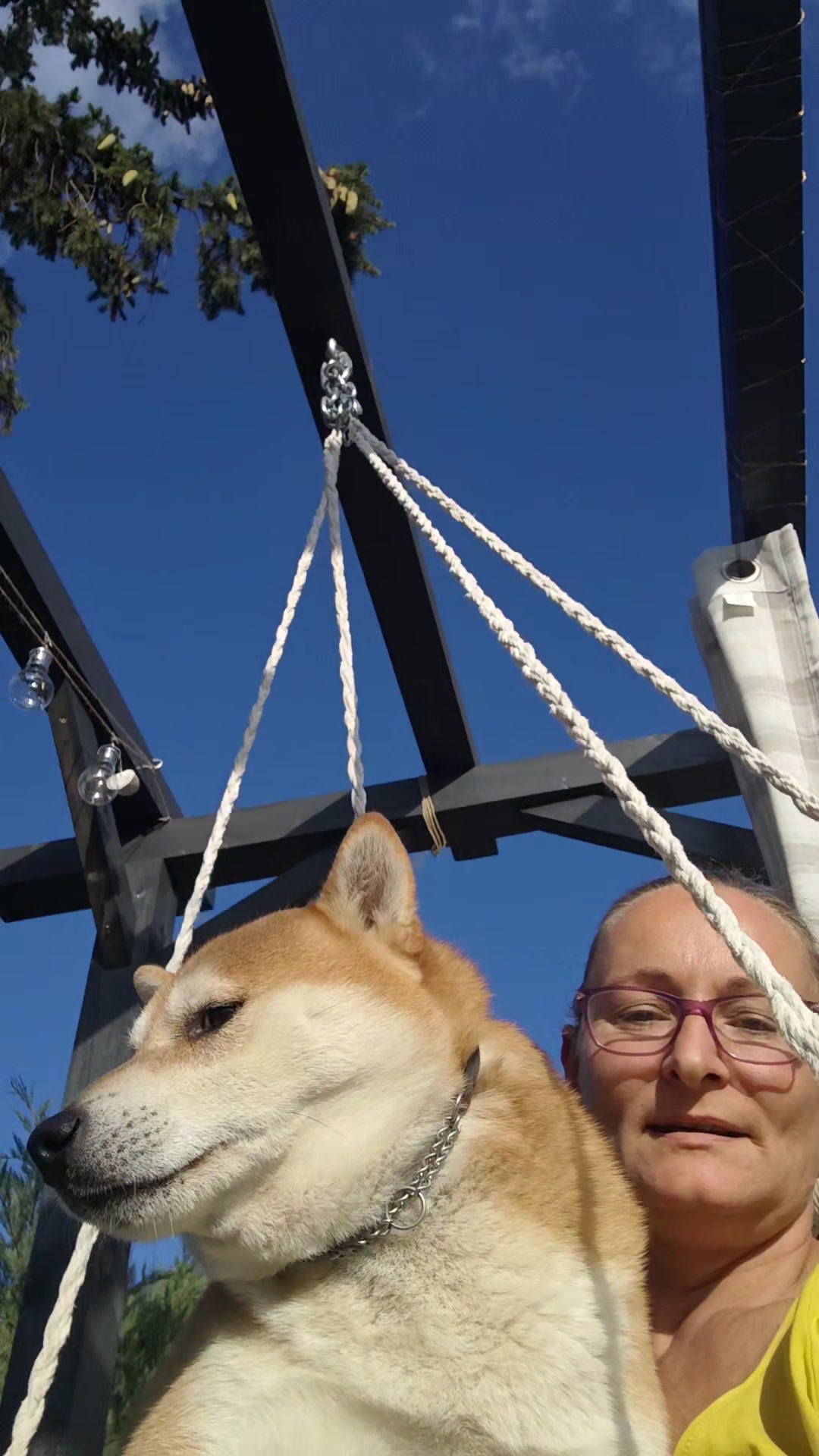 @Spirit of Asia Kennel
