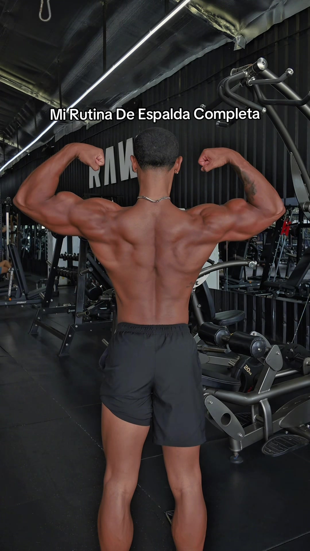 @SAMUEL | ENTRENADOR ONLINE